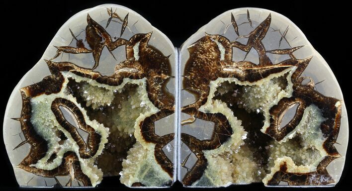 Polished Septarian Bookends - Crystal Filled With Fossil Shell #45935